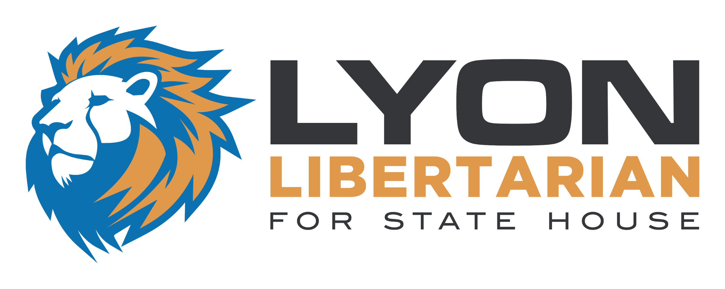Lyon Libertarian for State House